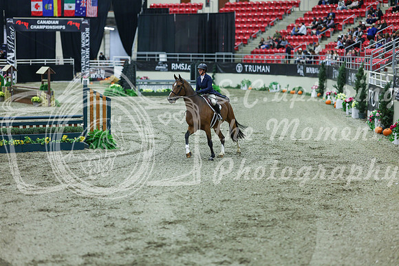 2025 - Shea - Royal West - Saturday October 18th - 06042