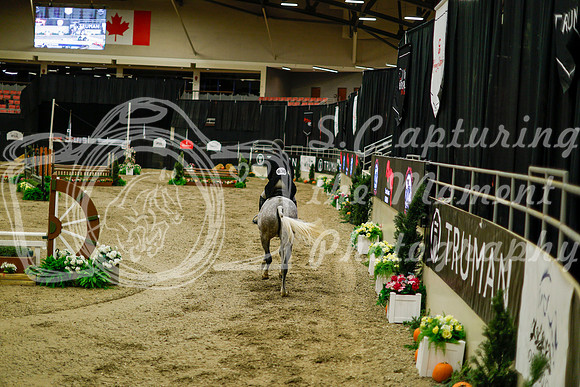 2025 - Haylee - Royal West - Saturday October 18th - 08375