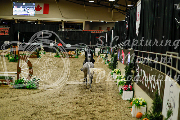 2025 - Haylee - Royal West - Saturday October 18th - 08376