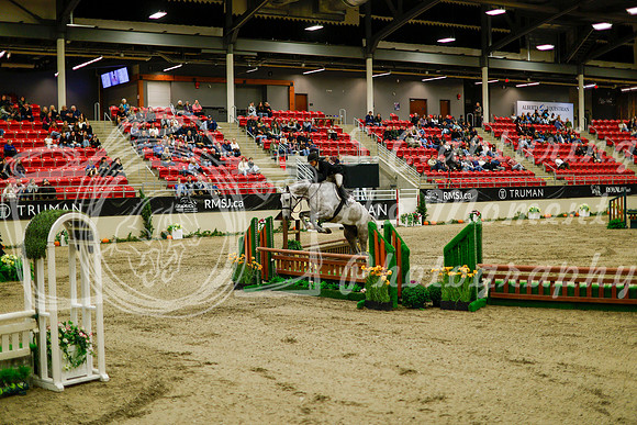 2025 - Haylee - Royal West - Saturday October 18th - 08377