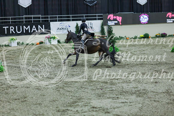 2025 - Shea - Royal West - Saturday October 18th - 07190