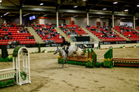 2025 - Haylee - Royal West - Saturday October 18th - 08382