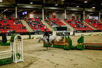 2025 - Haylee - Royal West - Saturday October 18th - 08383