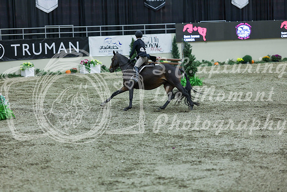 2025 - Shea - Royal West - Saturday October 18th - 07191