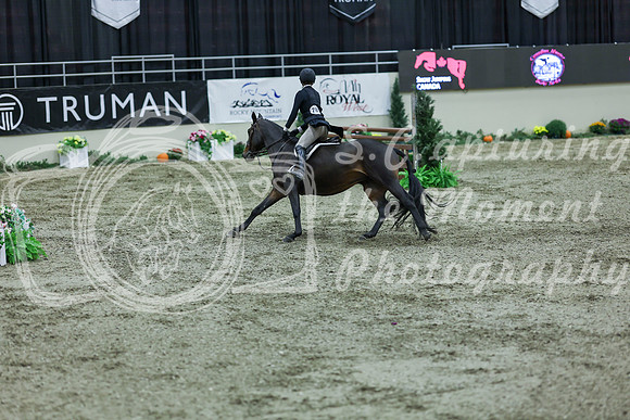 2025 - Shea - Royal West - Saturday October 18th - 07192