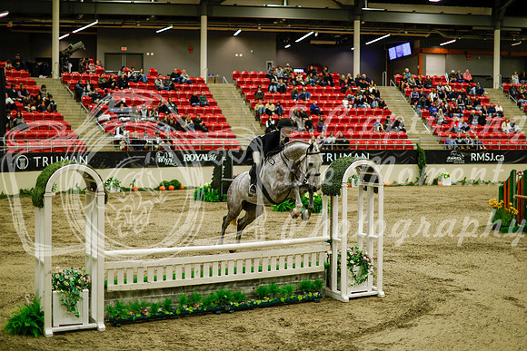 2025 - Haylee - Royal West - Saturday October 18th - 08388