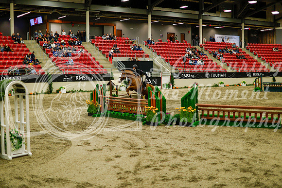 2025 - Haylee - Royal West - Saturday October 18th - 08942