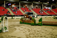2025 - Haylee - Royal West - Saturday October 18th - 08943
