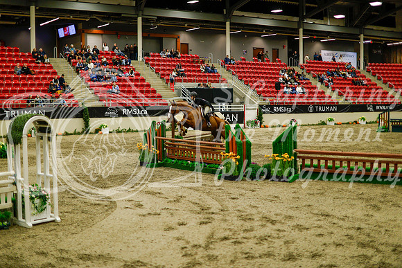 2025 - Haylee - Royal West - Saturday October 18th - 08943