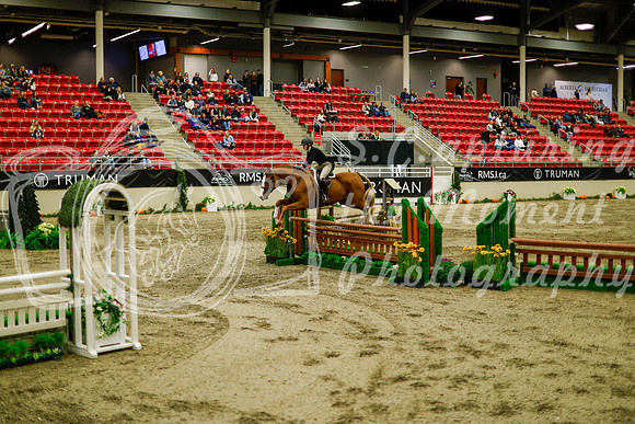 2025 - Haylee - Royal West - Saturday October 18th - 08945