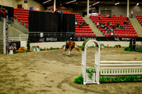 2025 - Haylee - Royal West - Saturday October 18th - 08946