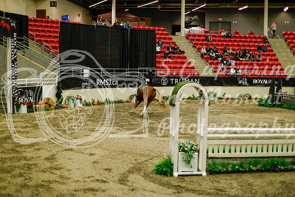2025 - Haylee - Royal West - Saturday October 18th - 08946