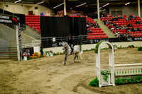 2025 - Haylee - Royal West - Saturday October 18th - 08394