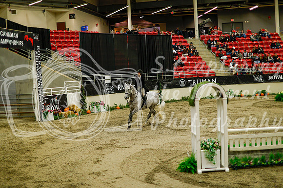 2025 - Haylee - Royal West - Saturday October 18th - 08394