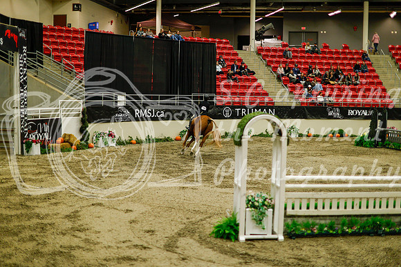2025 - Haylee - Royal West - Saturday October 18th - 08947