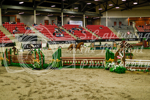 2025 - Haylee - Royal West - Saturday October 18th - 08948