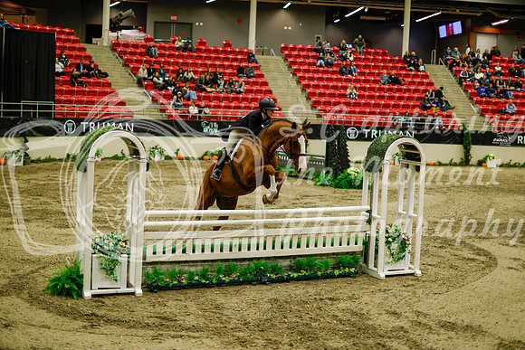 2025 - Haylee - Royal West - Saturday October 18th - 08949