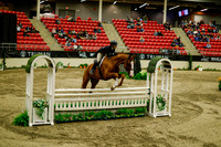 2025 - Haylee - Royal West - Saturday October 18th - 08950