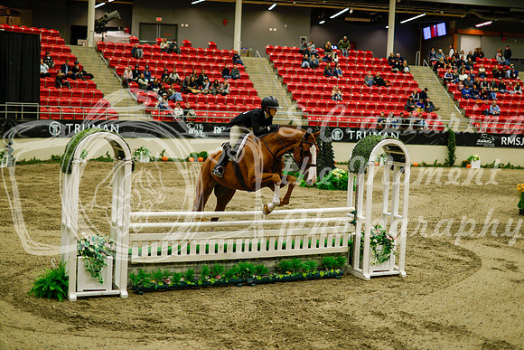 2025 - Haylee - Royal West - Saturday October 18th - 08950