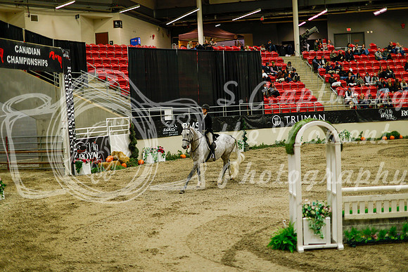 2025 - Haylee - Royal West - Saturday October 18th - 08395