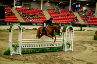 2025 - Haylee - Royal West - Saturday October 18th - 08951