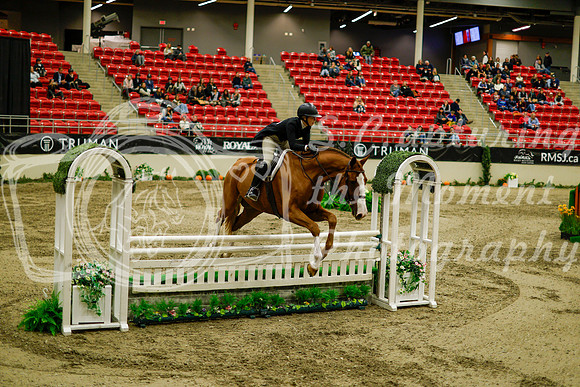2025 - Haylee - Royal West - Saturday October 18th - 08951