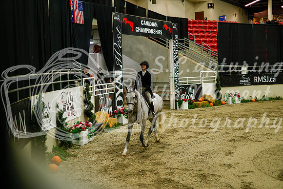 2025 - Haylee - Royal West - Saturday October 18th - 08397