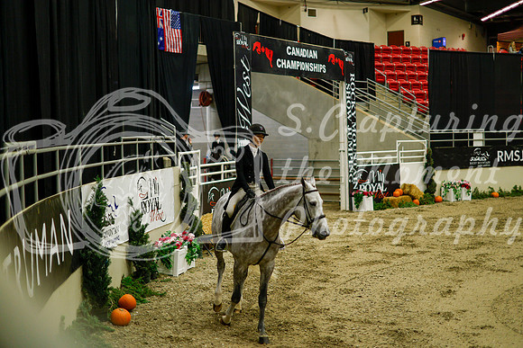 2025 - Haylee - Royal West - Saturday October 18th - 08398
