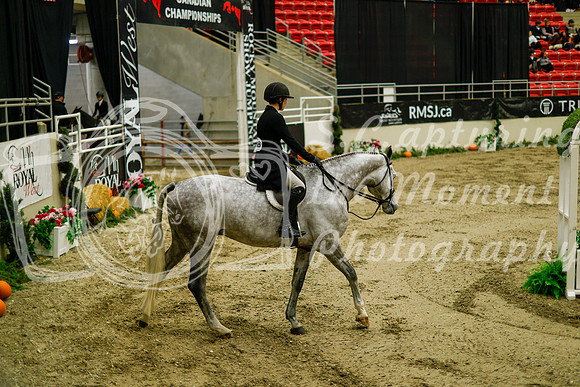 2025 - Haylee - Royal West - Saturday October 18th - 08399