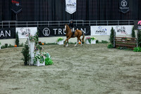 2025 - Shea - Royal West - Saturday October 18th - 07449