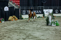 2025 - Shea - Royal West - Saturday October 18th - 07451