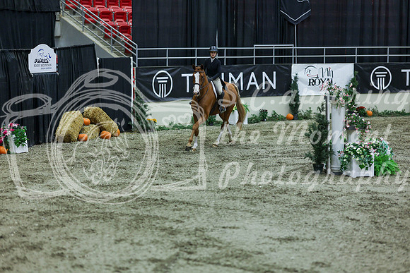 2025 - Shea - Royal West - Saturday October 18th - 07451