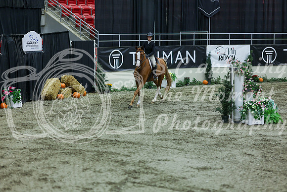 2025 - Shea - Royal West - Saturday October 18th - 07452