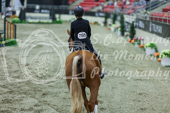 2025 - Shea - Royal West - Saturday October 18th - 07455