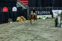 2025 - Shea - Royal West - Saturday October 18th - 07453