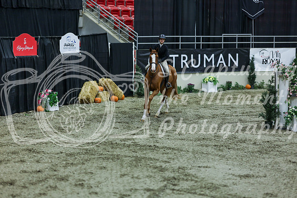 2025 - Shea - Royal West - Saturday October 18th - 07453