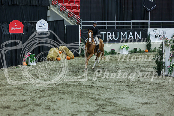 2025 - Shea - Royal West - Saturday October 18th - 07454