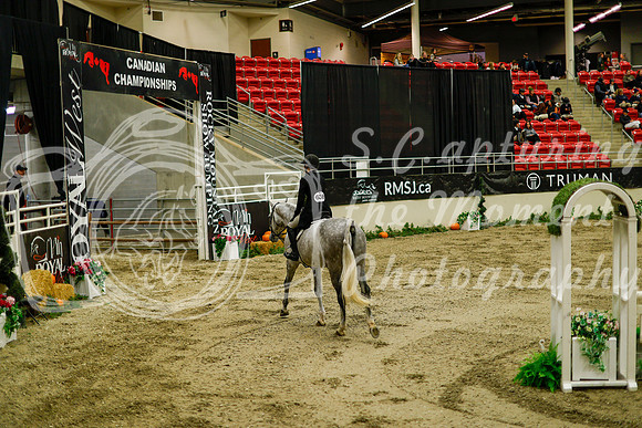 2025 - Haylee - Royal West - Saturday October 18th - 08402