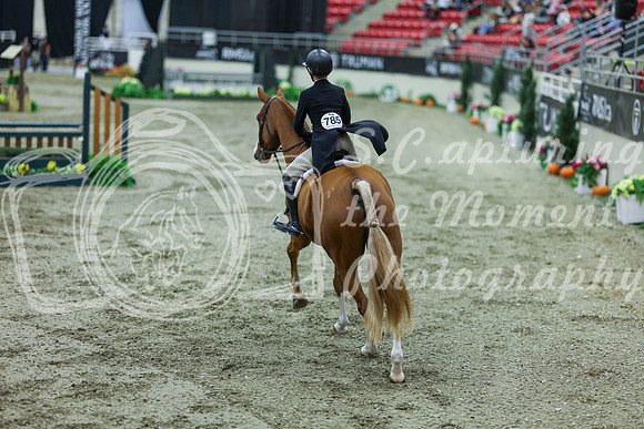 2025 - Shea - Royal West - Saturday October 18th - 07458