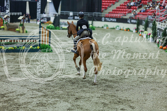 2025 - Shea - Royal West - Saturday October 18th - 07461