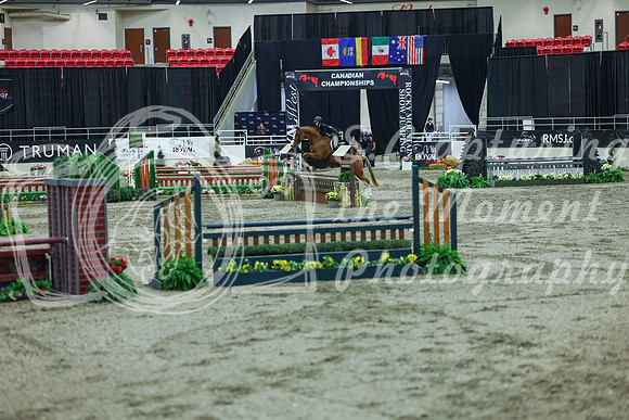 2025 - Shea - Royal West - Saturday October 18th - 07464
