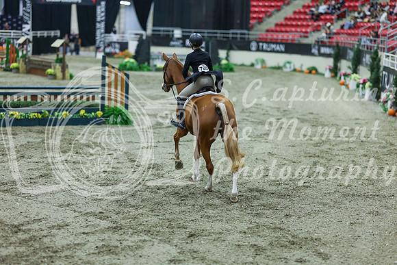 2025 - Shea - Royal West - Saturday October 18th - 07463