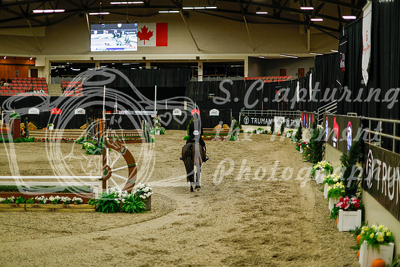 2025 - Haylee - Royal West - Saturday October 18th - 08404