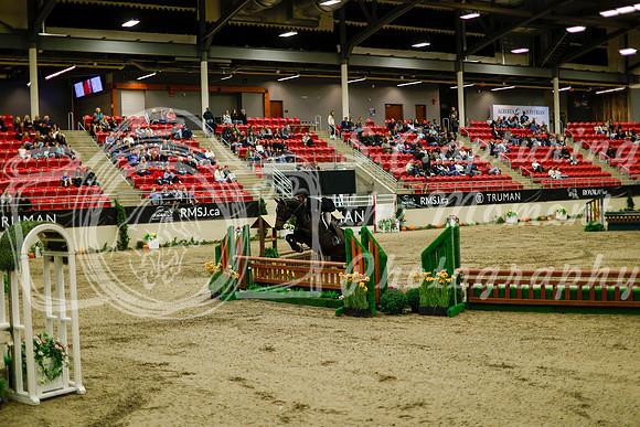 2025 - Haylee - Royal West - Saturday October 18th - 08405