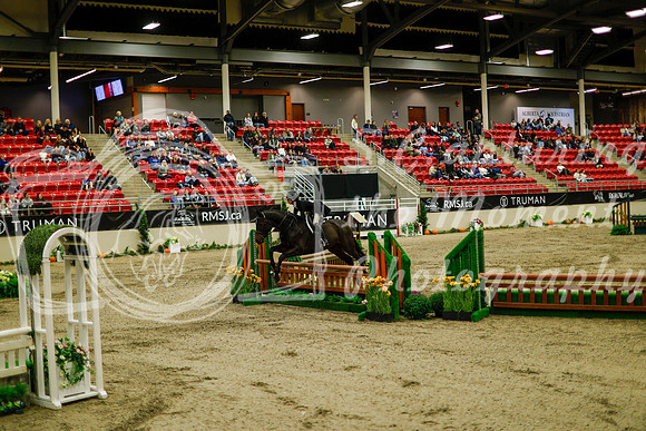 2025 - Haylee - Royal West - Saturday October 18th - 08407