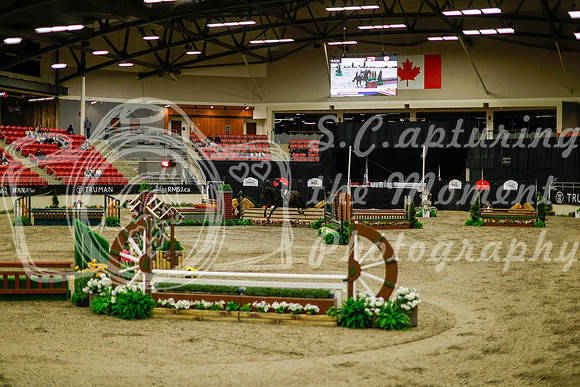 2025 - Haylee - Royal West - Saturday October 18th - 08409