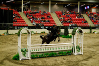 2025 - Haylee - Royal West - Saturday October 18th - 08410