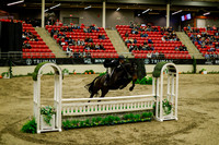 2025 - Haylee - Royal West - Saturday October 18th - 08411