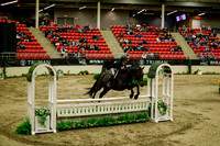 2025 - Haylee - Royal West - Saturday October 18th - 08412