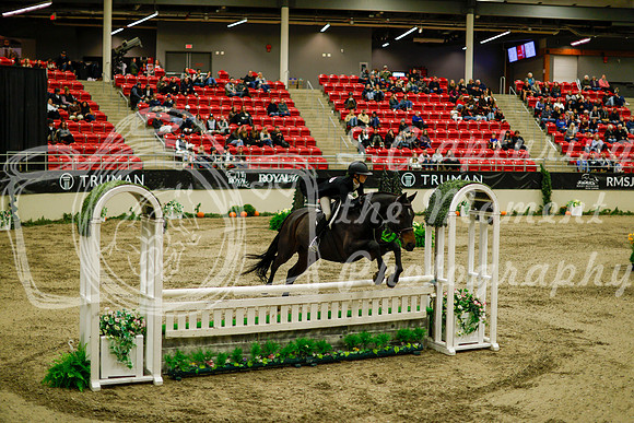 2025 - Haylee - Royal West - Saturday October 18th - 08412